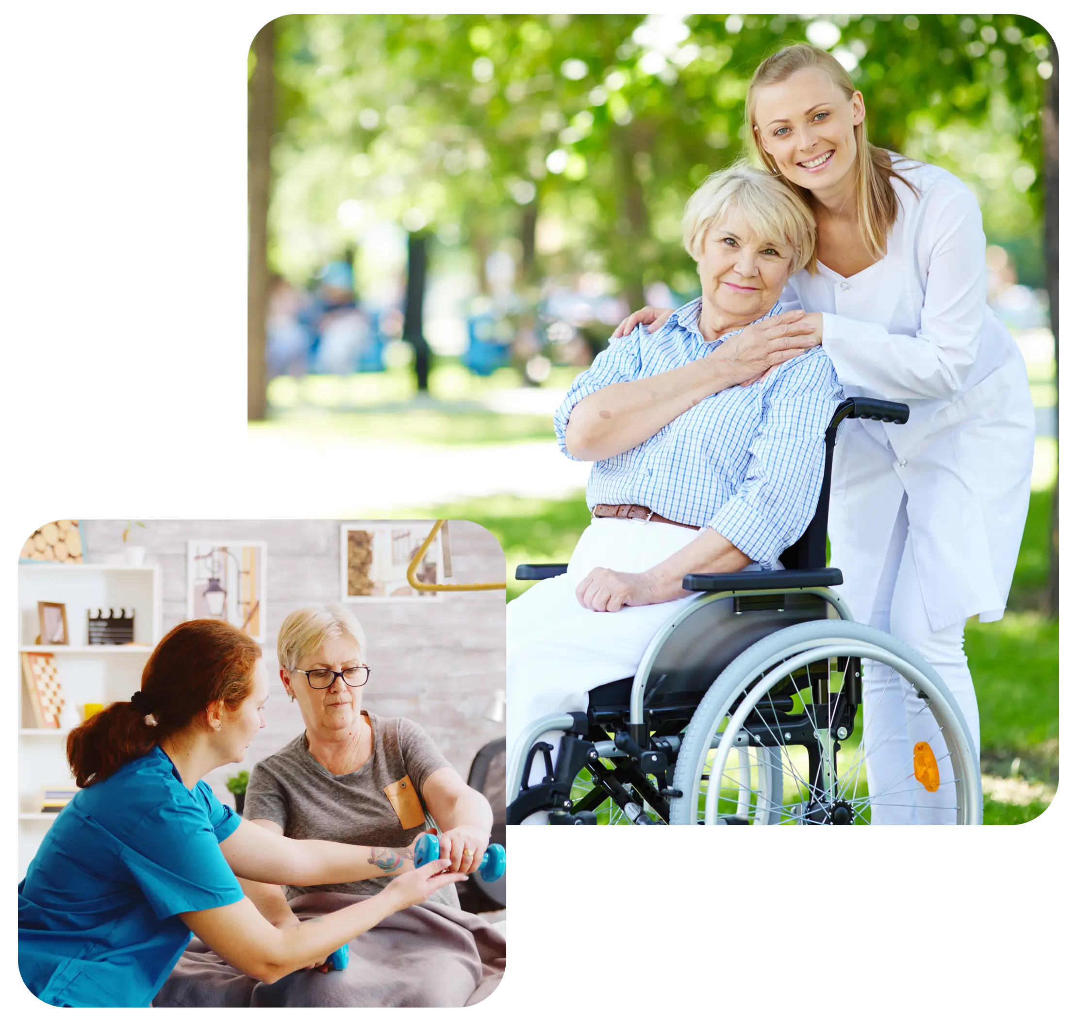 loyalhealthcare